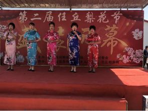 芬芳满园暖夕阳——任丘老干部活动中心梨花节公益演出侧记