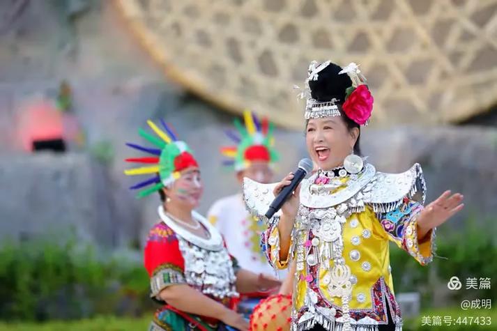 椰风送暖 山海传情——三亚黎苗节专场公益演出纪实